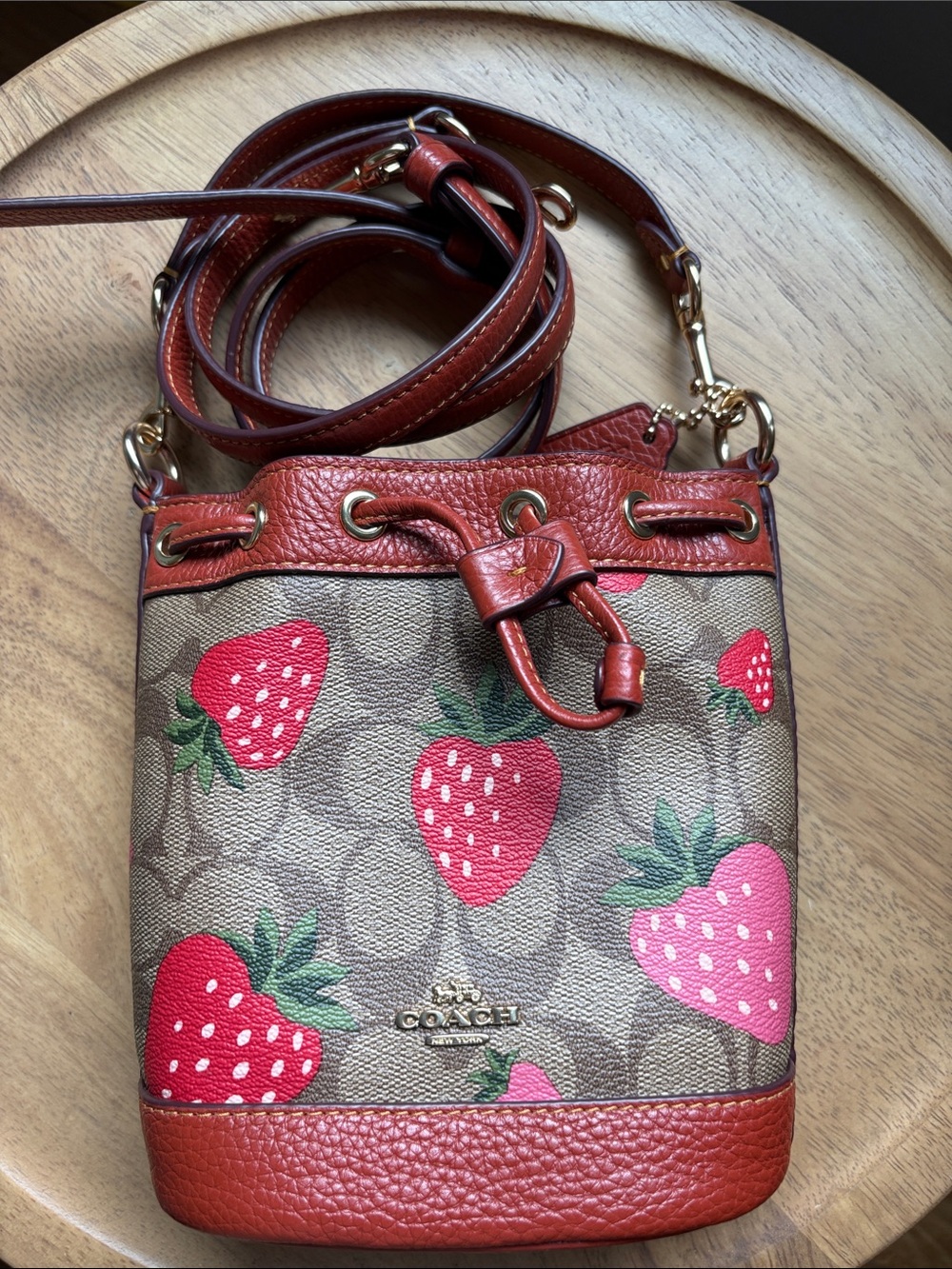Coach Mini Dempsey Strawberry Bucket Bag